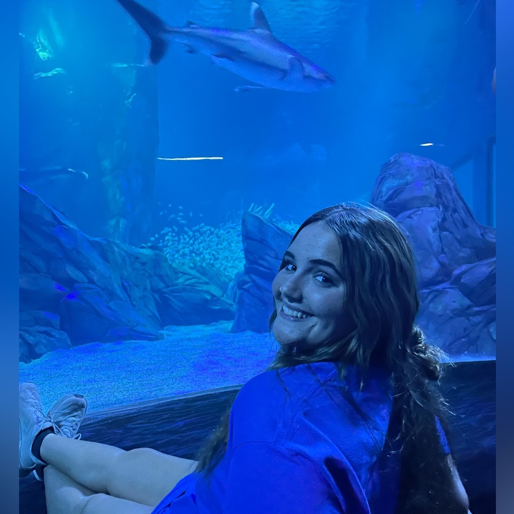 Meet your Posher, Allie